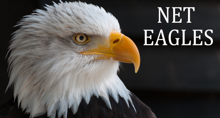 Net Eagles Web Design & Development